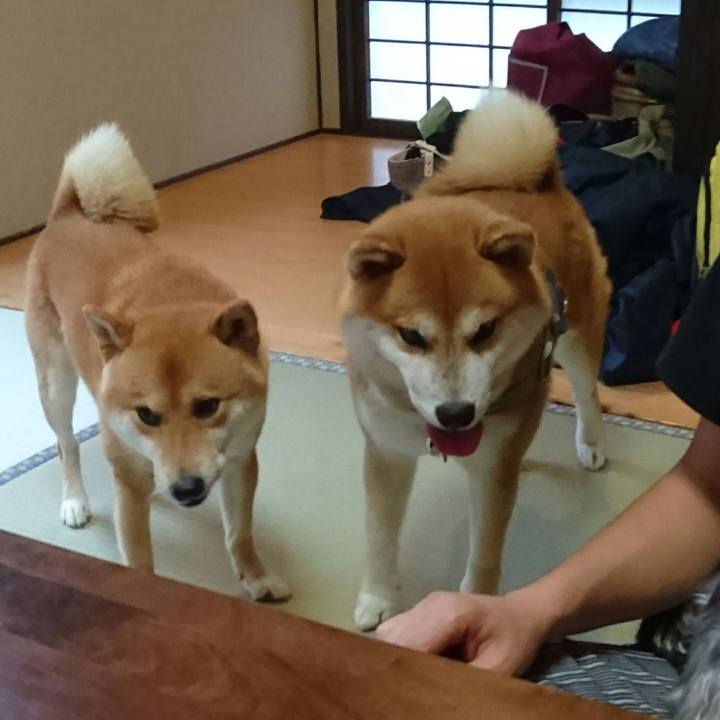 3d5c98fc f579 4ec2 8461 df2d3c51b290