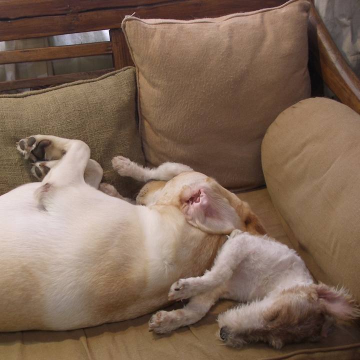 3d5d4b90 287e 4d75 80f5 2138fbd3348d