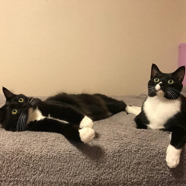 3d5dc384 2b57 43c2 a2da d6496dab35fa