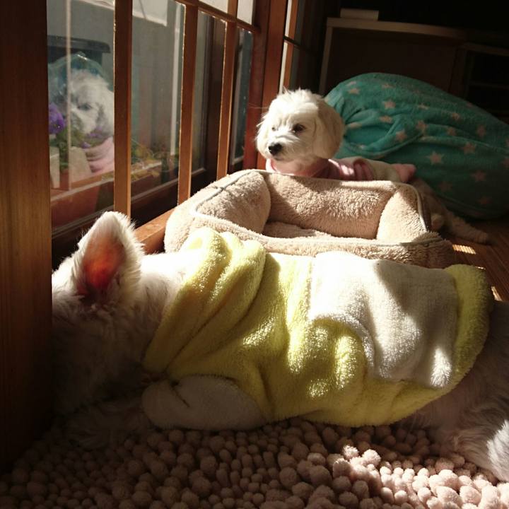 3d5e878e 47b9 454a 9ad9 9a1608a23720