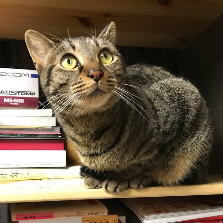 3d5f0673 f592 43bf bef1 64416efc31ea