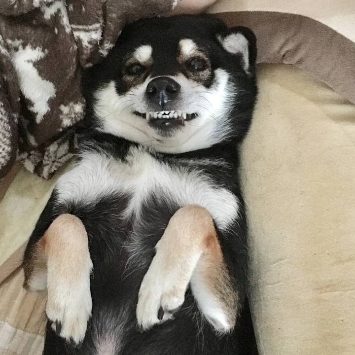 3d5f47cf 5942 48a9 9a7e 8f768147966a