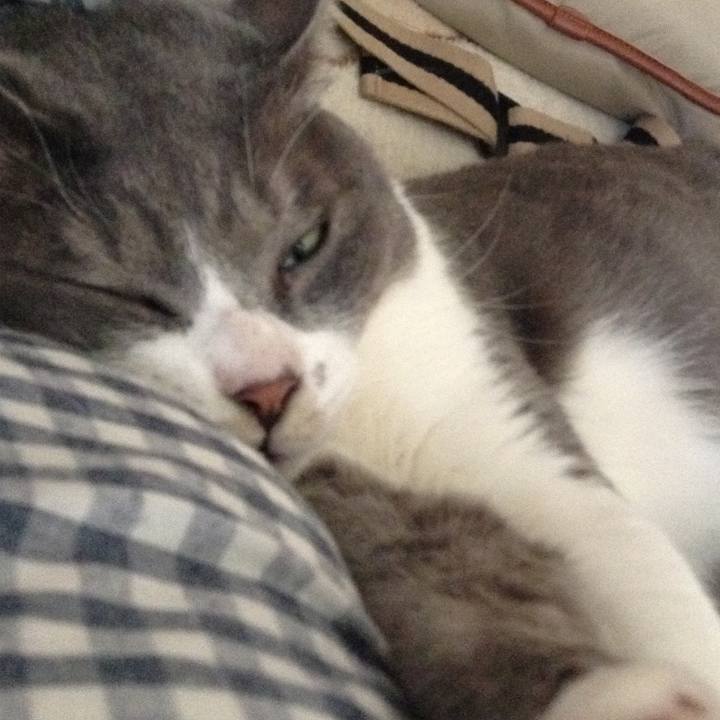 3d5fa79c f449 4568 9264 ee9af0bc1331