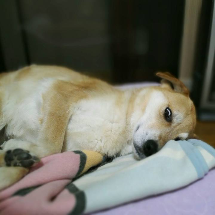 3d605f8e 21e9 4c65 96ba a9b5806d6803