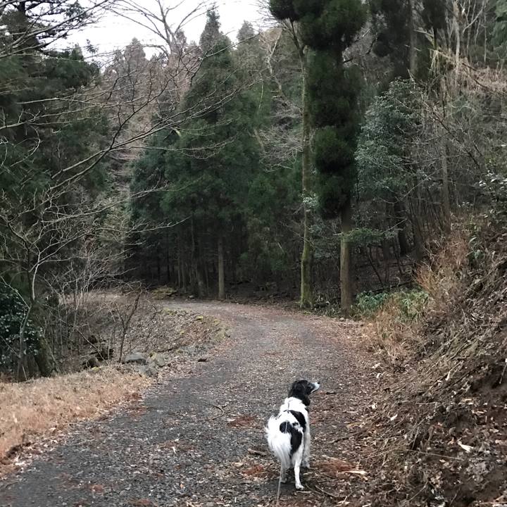 3d607bf9 0ce0 4182 b72f 7079cdaea8e3