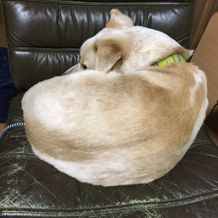 3d619a10 4fc0 4e32 a363 2bb4f443f703