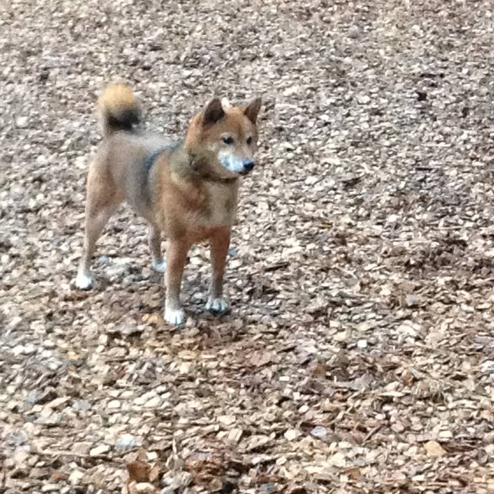 3d620a09 ebdb 490f bcb5 af2cef2efe46