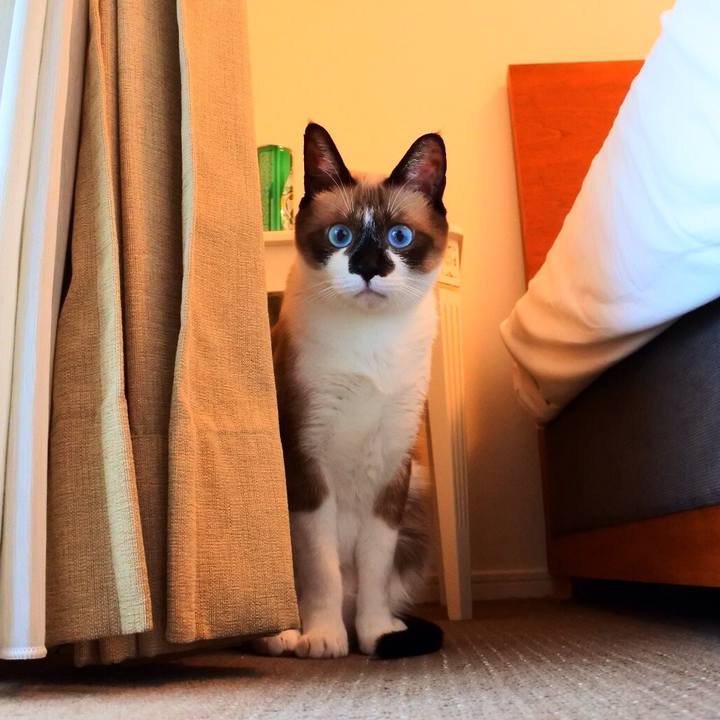 3d623011 fe19 46c2 884d a6fdd32e3902