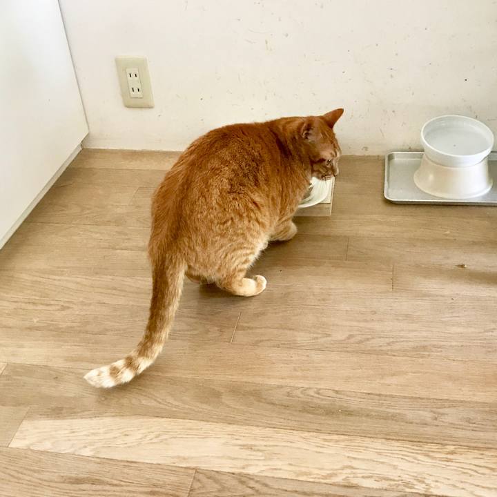 3d625006 86b1 4e05 864b 7d8c5305837b