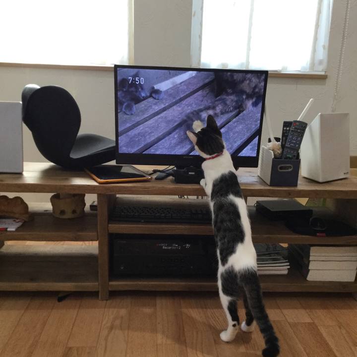 3d62748f c933 46fb 9c3d 32187fd93368