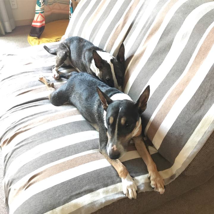 3d62842f 879a 4a21 815a 7547ba9642a6