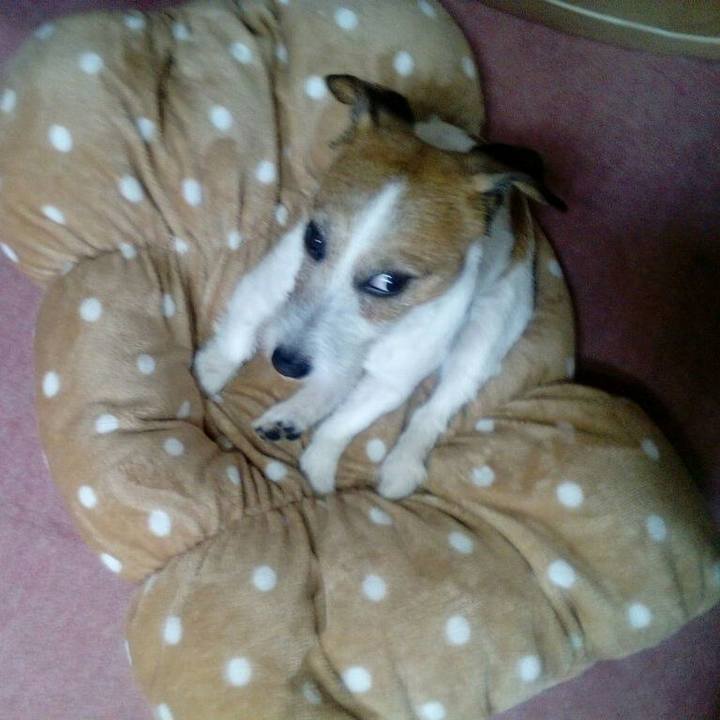 3d635bf4 43c0 44fe a1a0 92659ecaf5b1