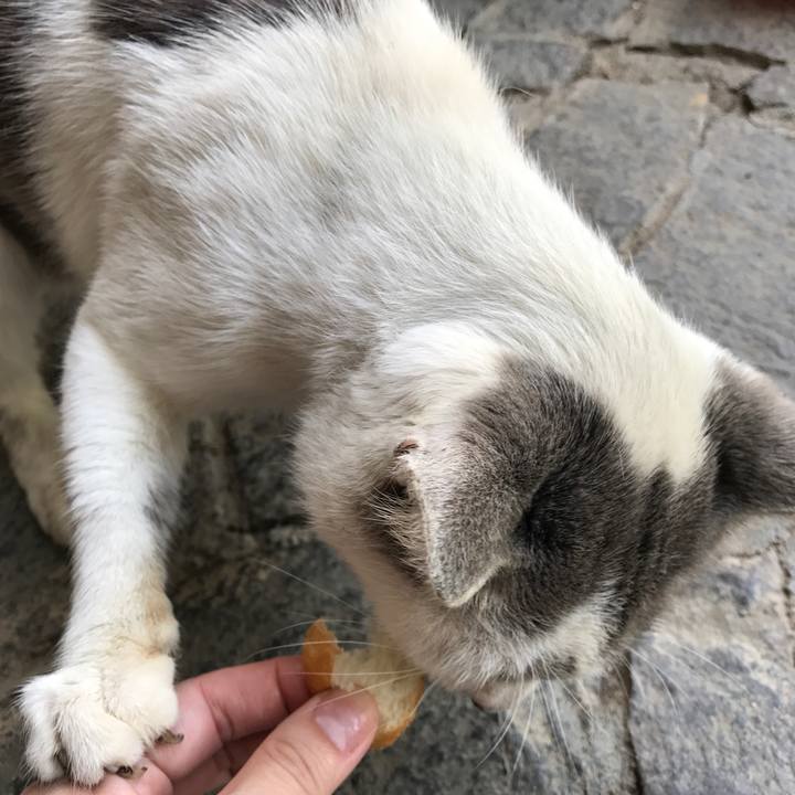 3d63d41d 675d 44dd b383 6adf633bb5d8