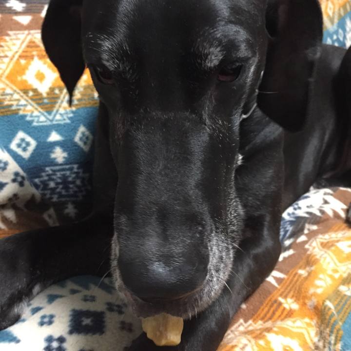 3d64a9e2 a947 444b b627 cd070dc81e15