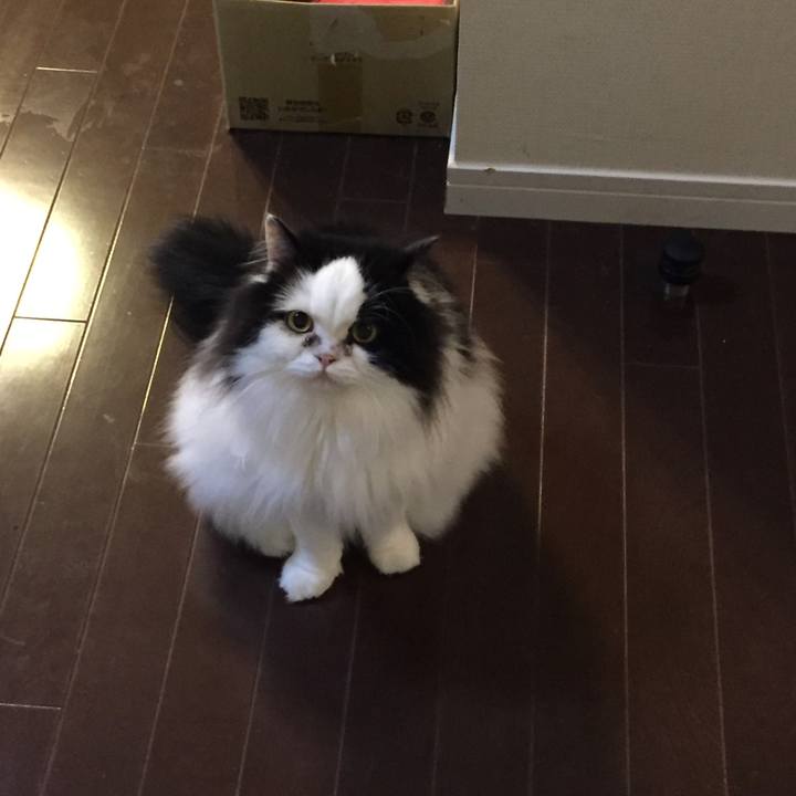 3d64da47 9379 4040 9fa2 75c6d4f17653