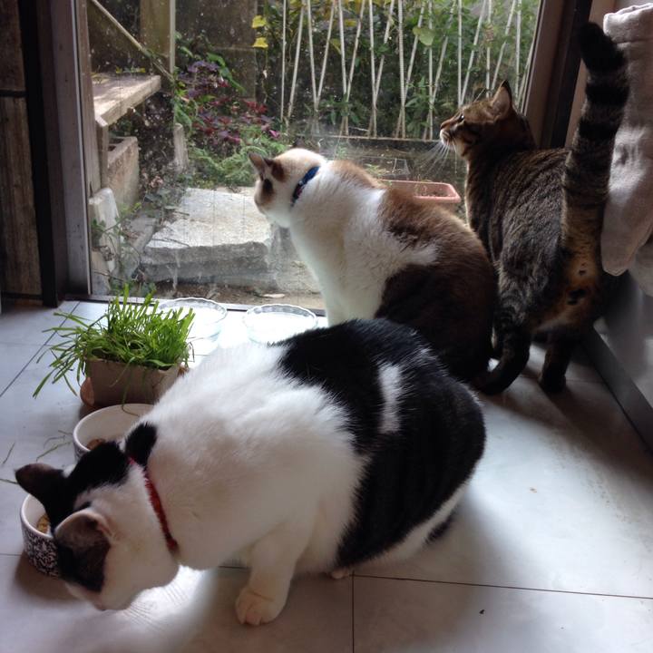 3d655e54 2097 4519 8d0d f667fe1e8ede