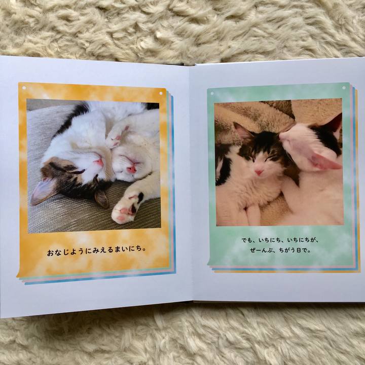 3d659b69 9f41 4d1b ae43 d1450ba40d3e