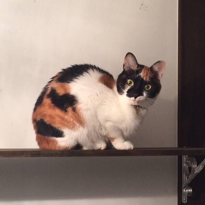 3d6607c6 53c5 4aa8 9bf4 9a4a0ba5108f