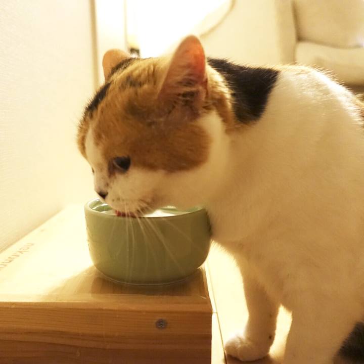 3d66898a ca97 4b1e 8466 92a45f8c249c