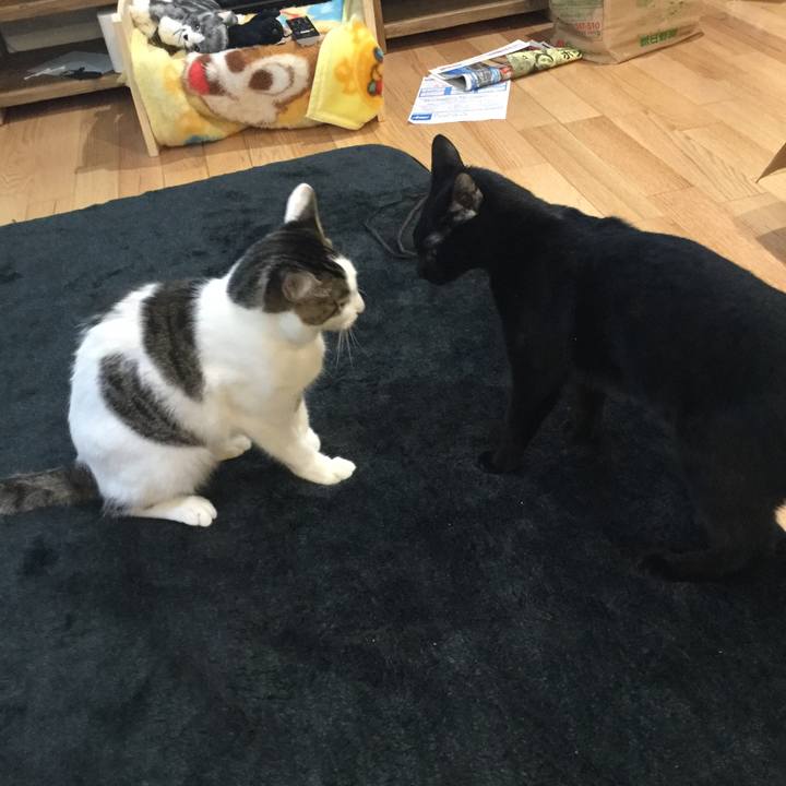 3d67a75a d66f 4308 8f36 dd2c7e298de0