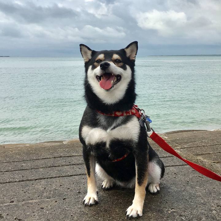 3d67f54a fd48 495c 8824 09c769b240f9