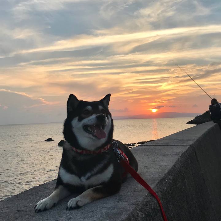 3d6834dc f67e 442f a2e2 19ea41dc4a4e