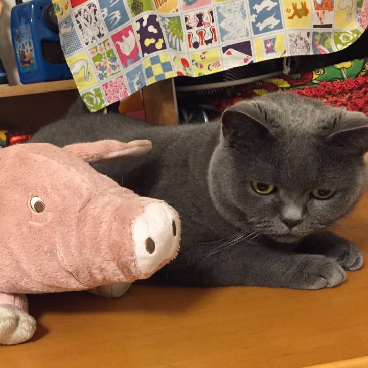 3d69755d d0dc 47c7 9581 4f0b6dbbf6e1