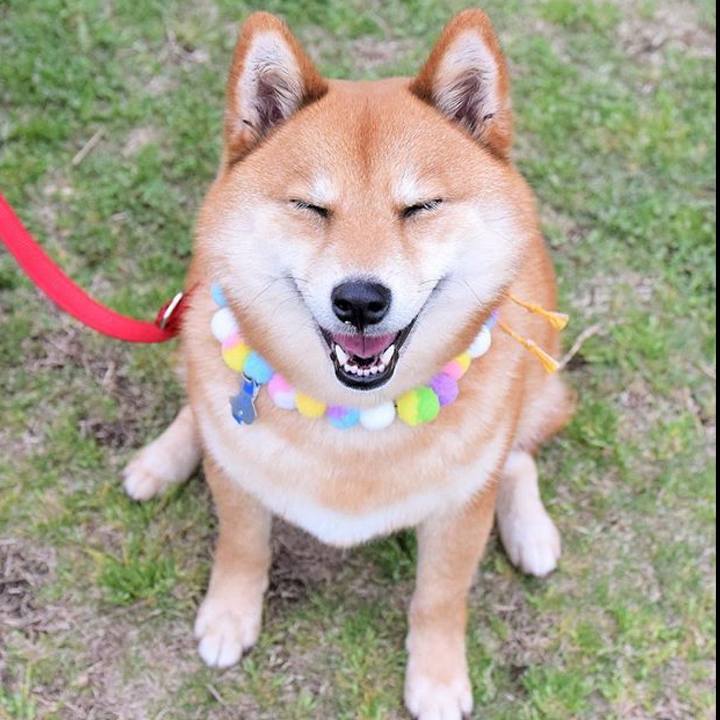 3d6a2bd4 c4d9 48c3 9bff 90a5ab82a500