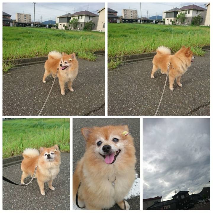 3d6a60b3 da1e 48b0 b5f6 aed86118492b