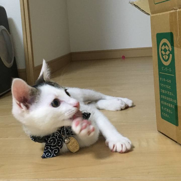 3d6b2990 7eae 41f9 9585 d4a011b722ef