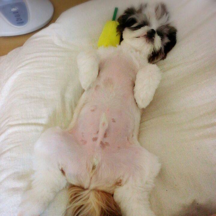 3d6b7980 cec1 4eba 9b78 9ee226d83a84