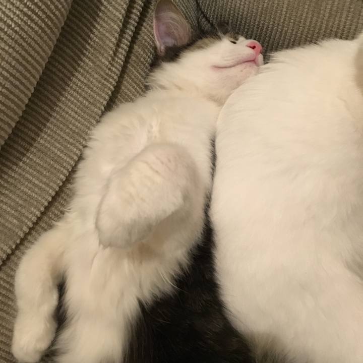 3d6bca4d bd56 4347 bc27 a68178c7ca1b