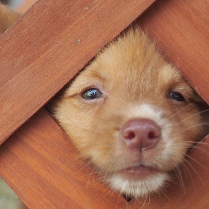 3d6c0a69 efd4 4feb a8ff caea7ed7442f