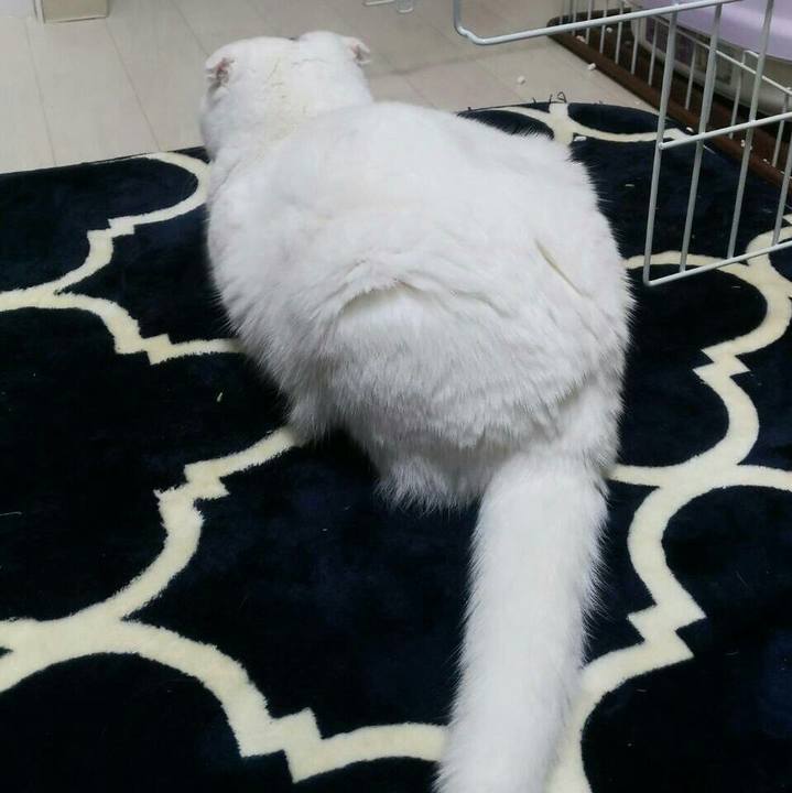 3d6c3c43 dbe9 4adb 9383 4a4336d8bb1b