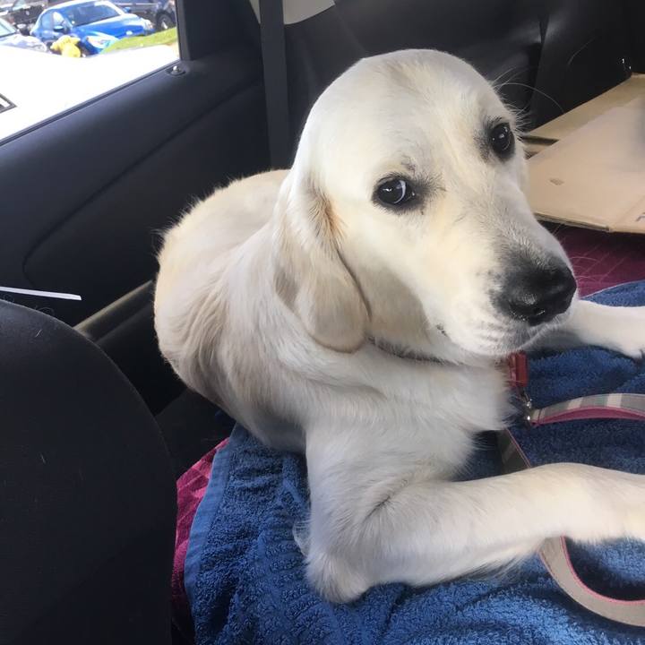 3d6d1158 3d0c 4429 85db 40d577689c6c