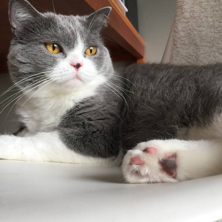 3d6d78d1 b824 452c b232 d4a2b6d22bde