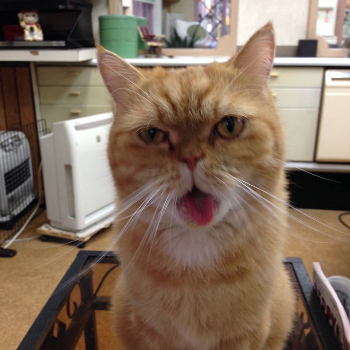 3d6d8fe8 da74 4d5f 9088 62386e66907b