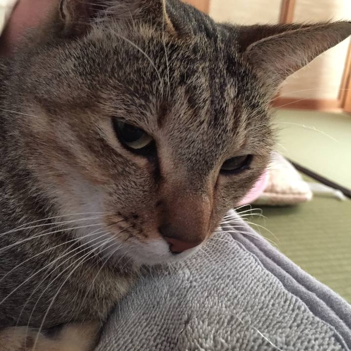 3d6e73e6 2616 4e16 9eac 396909f6daaf