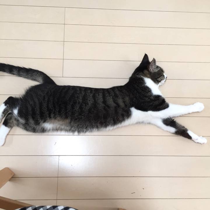 3d6eb734 29a7 4ed5 be9e 9f350006bb34