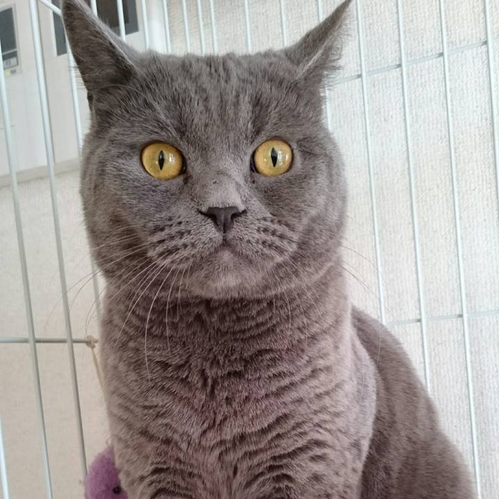 3d6ee090 d1ba 4702 9284 c40c7b992902