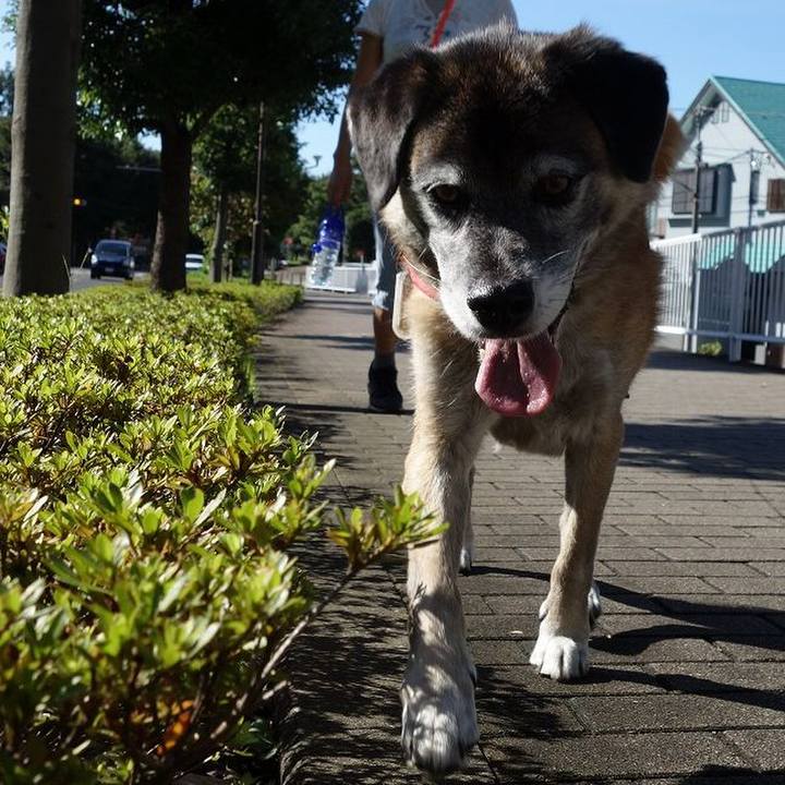 3d6f471b 29d8 405e 85c1 354ee4c412a9