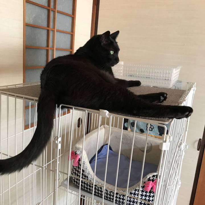 3d6f6b96 d9e2 405a 8f55 d4a068d3c5f7