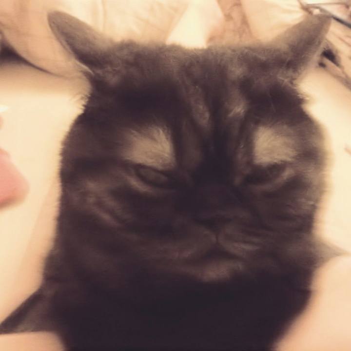 3d6f78c6 a475 48e3 b55c 7c29bc1b847b