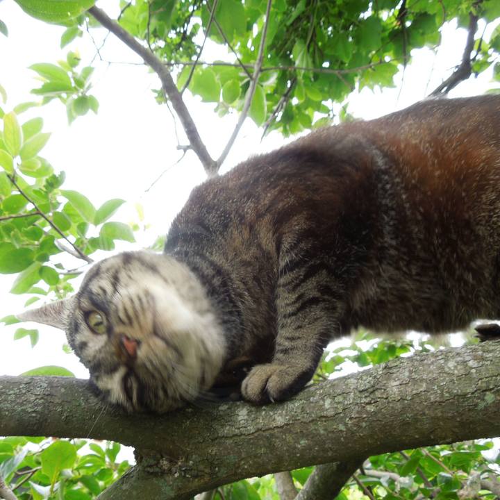 3d6ff1c3 6b01 485a 8659 e2154be26380