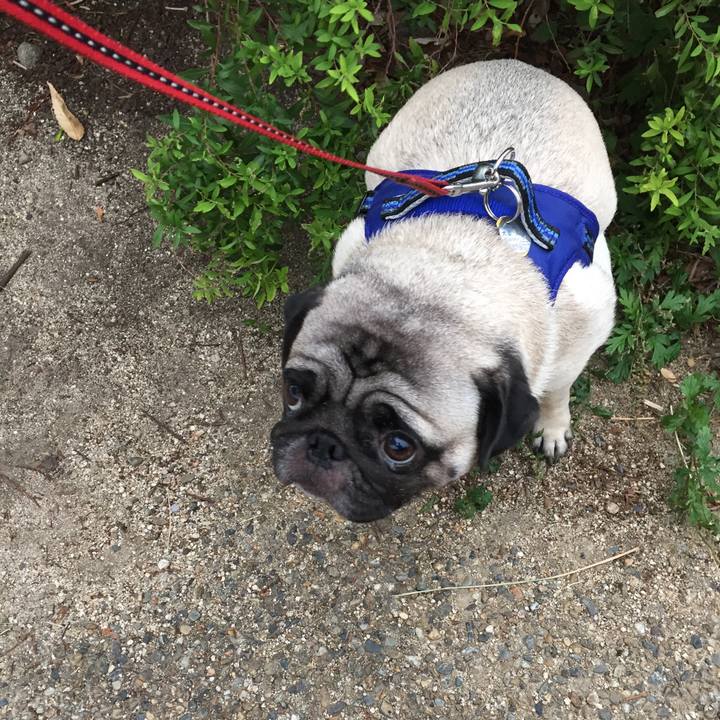 3d700bac f4a6 467d 9a58 5575df027b5a