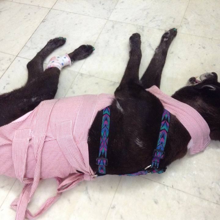 3d70bcaf 6c28 43ff 853a c89a270e8c5f