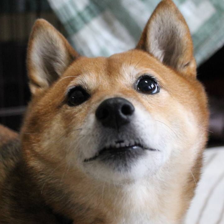 3d710518 36bf 432c a03a 3be4673ac012