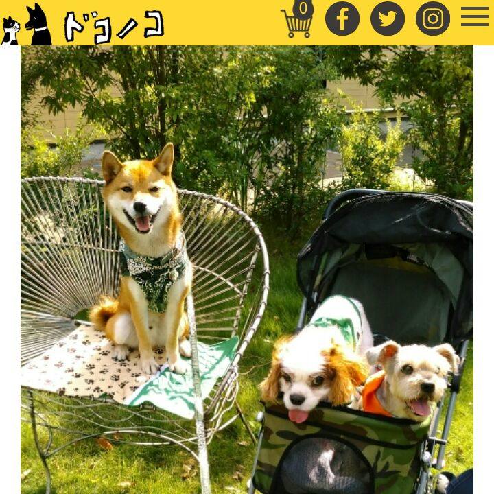 3d71552d 70f5 4c02 a7ee fcf2907d5f60