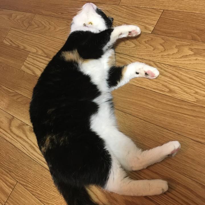 3d71894a 3b48 4498 b267 256efd9c8a1a