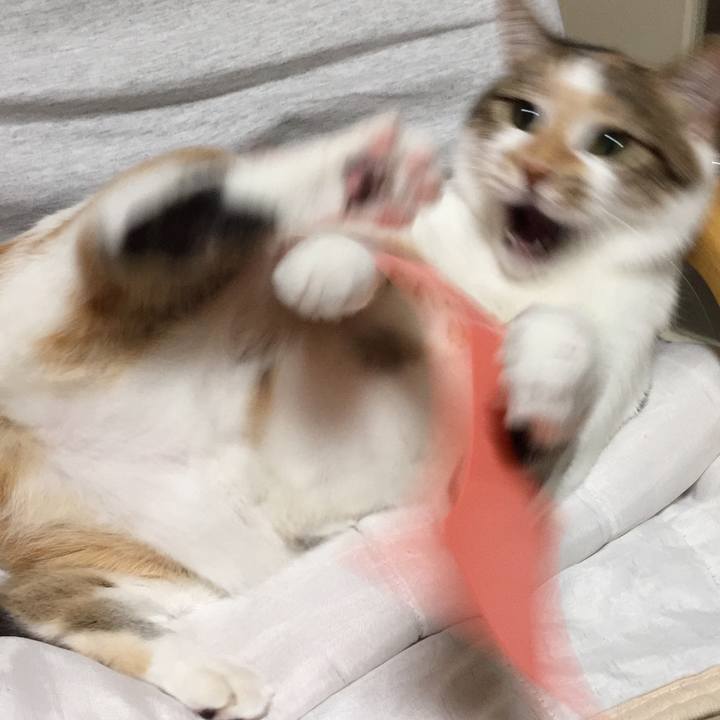 3d71a9a2 ade2 4680 98ec 07f95f82ba2c